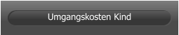 Umgangskosten Kind